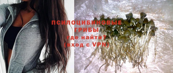 ECSTASY Богданович