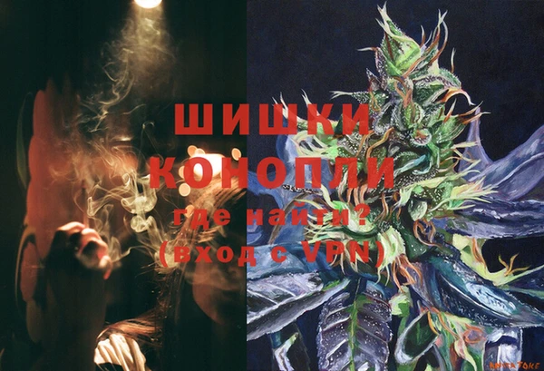 ECSTASY Богданович