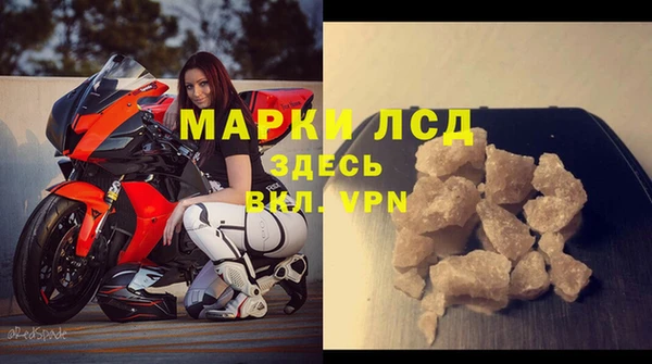 ECSTASY Богданович