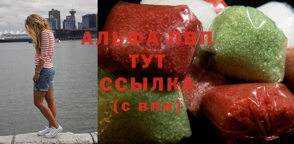 ECSTASY Богданович