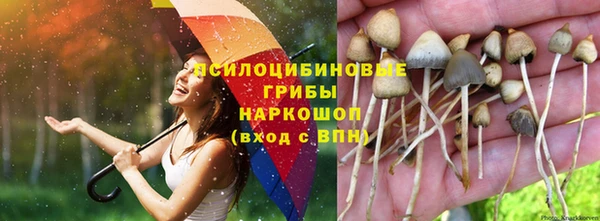 синтетический гашиш Белоозёрский