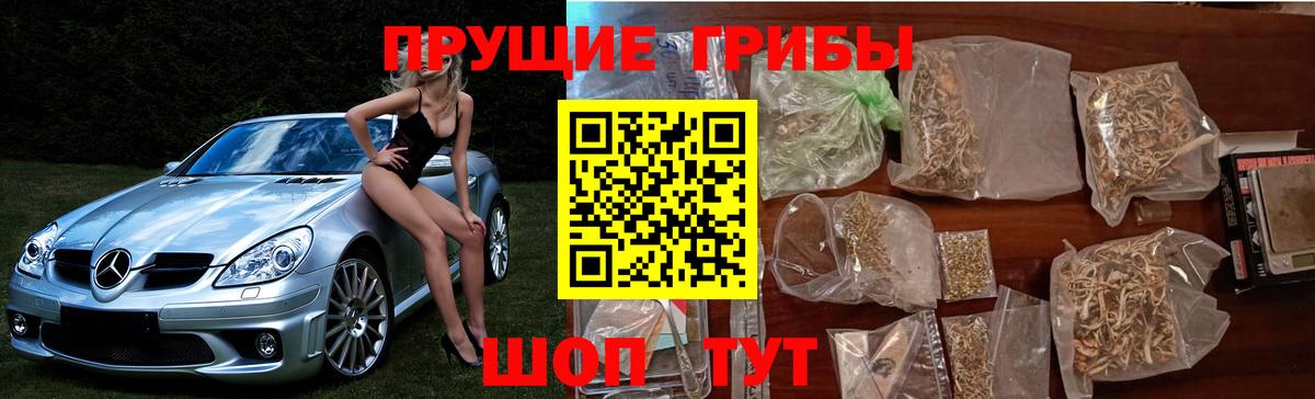 Псилоцибиновые грибы прущие грибы  Псилоцибиновые грибы ЛСД  Вход с VPN  Малоярославец 